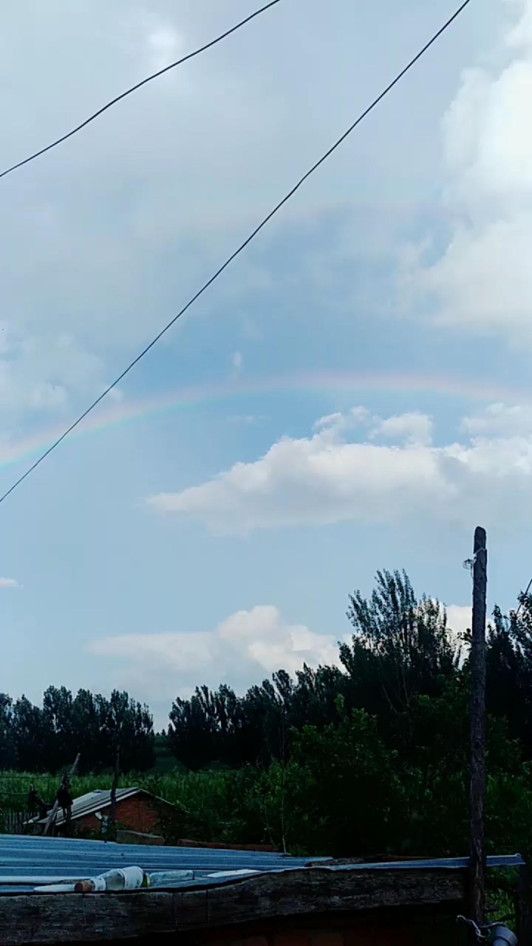 农村雨后彩虹的图片图片