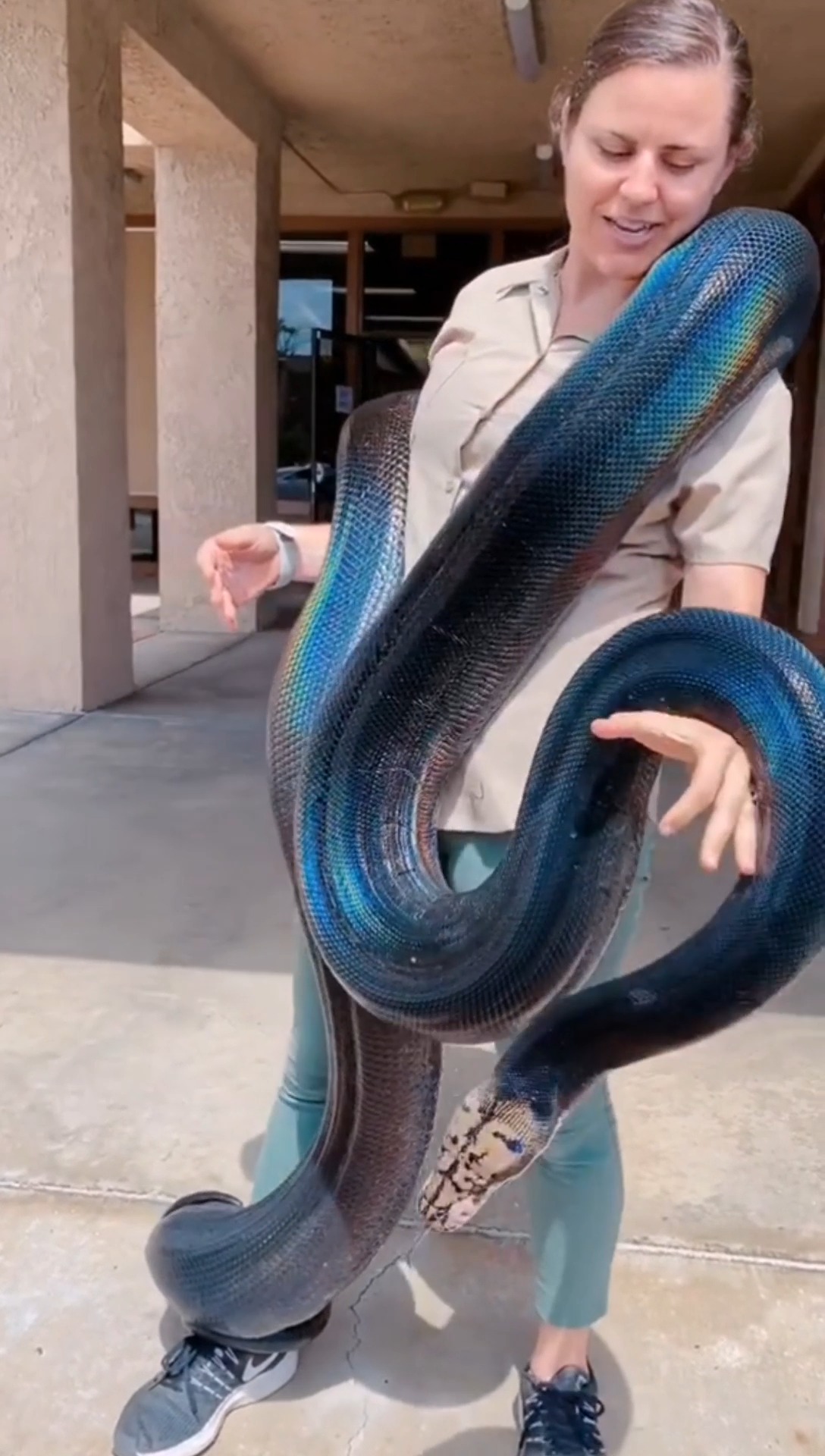 估计99.9%的人都没有听过或见过这种"彩虹蛇"!