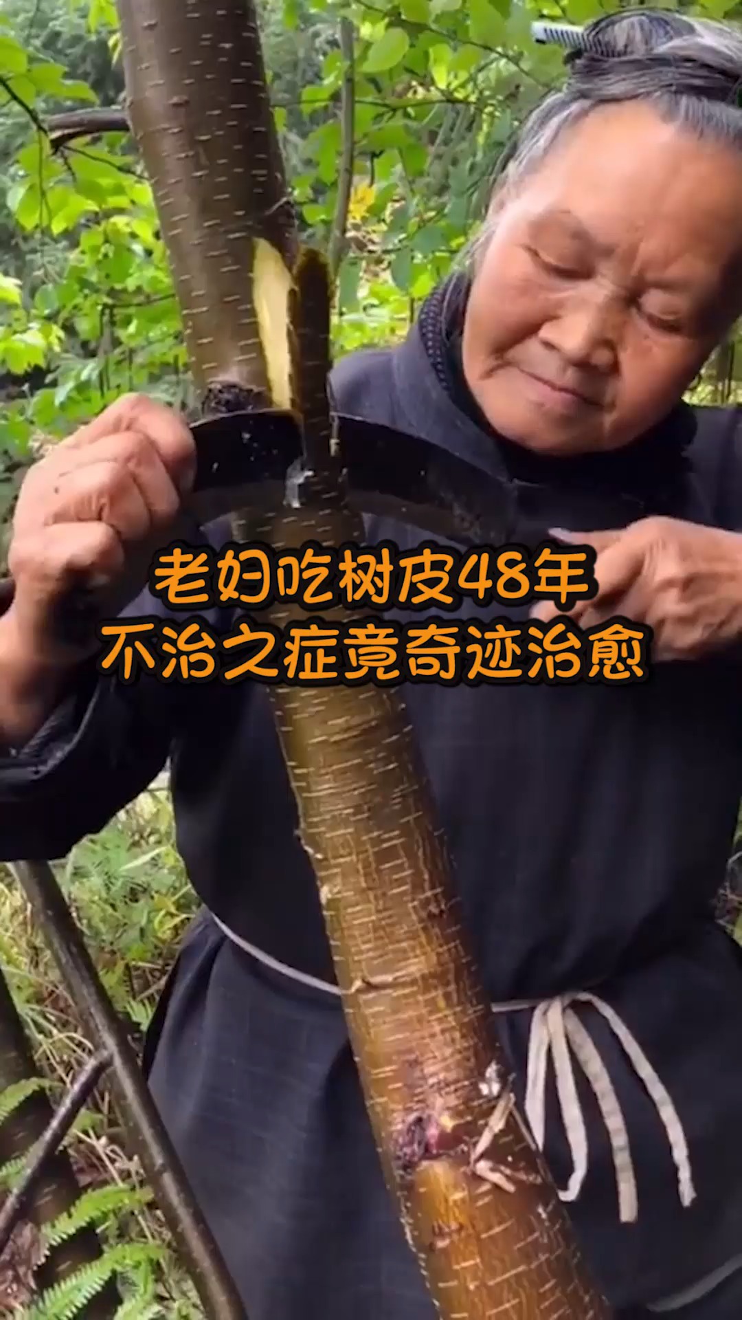 奇趣#老妇吃树皮48年,不治之症竟奇迹治愈