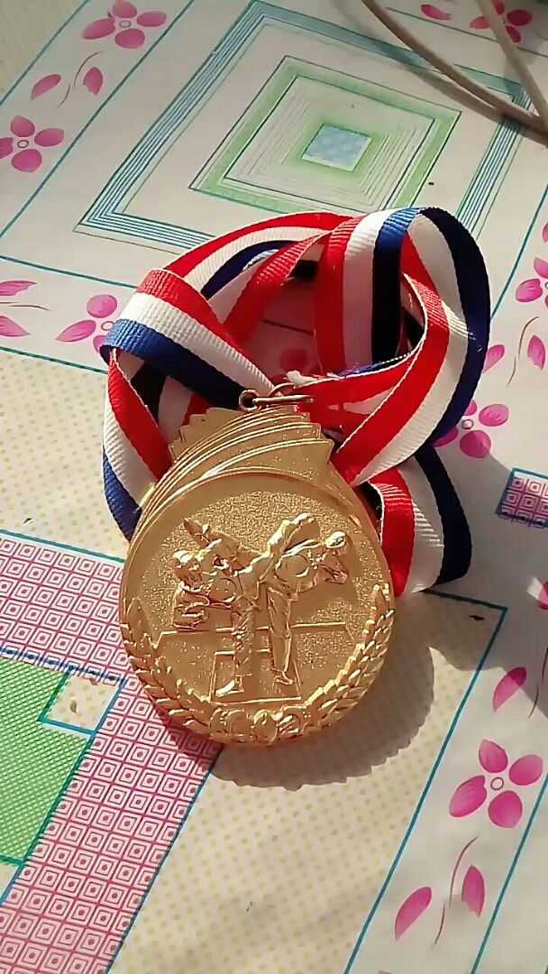 跆拳道我大孙子得的金牌.