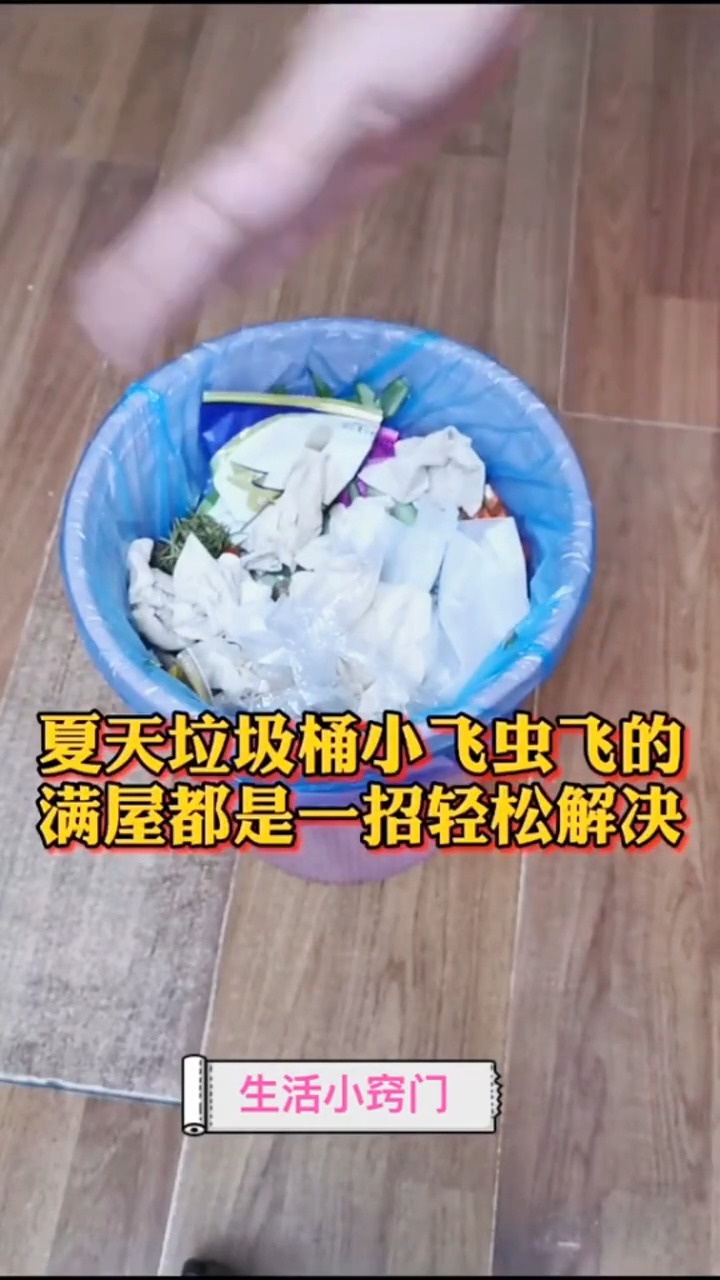 夏天垃圾桶上全是小飞虫别担心教你一招就能轻松解决