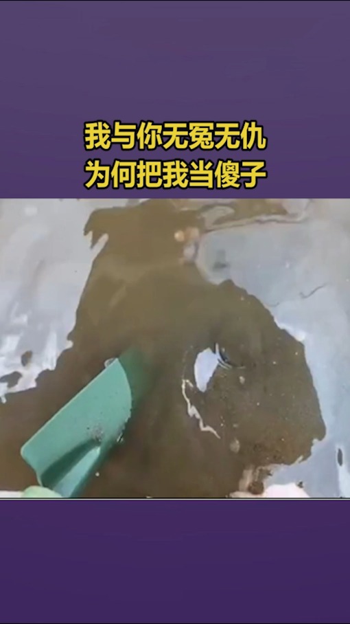 我要上熱門#我與你無冤無仇,為何把我當傻子