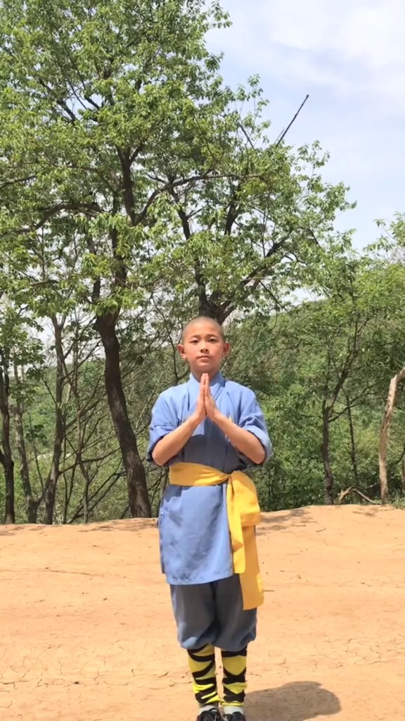 少林武僧#小师弟练的螳螂拳很不错啊