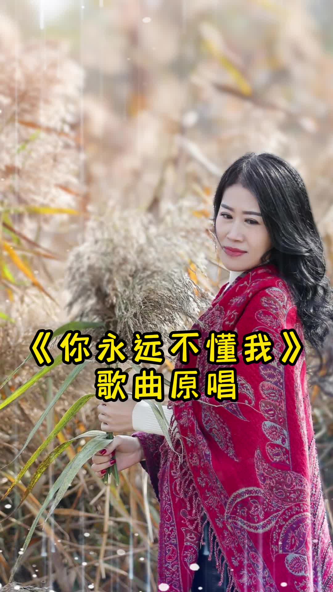 歌曲《你永远不懂我,让我们一起来欣赏吧