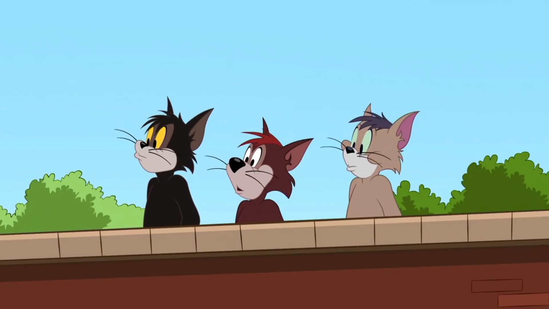 动漫#汤姆被猫兄弟嘲笑当狗遛 一生气 竟像狗一样叫