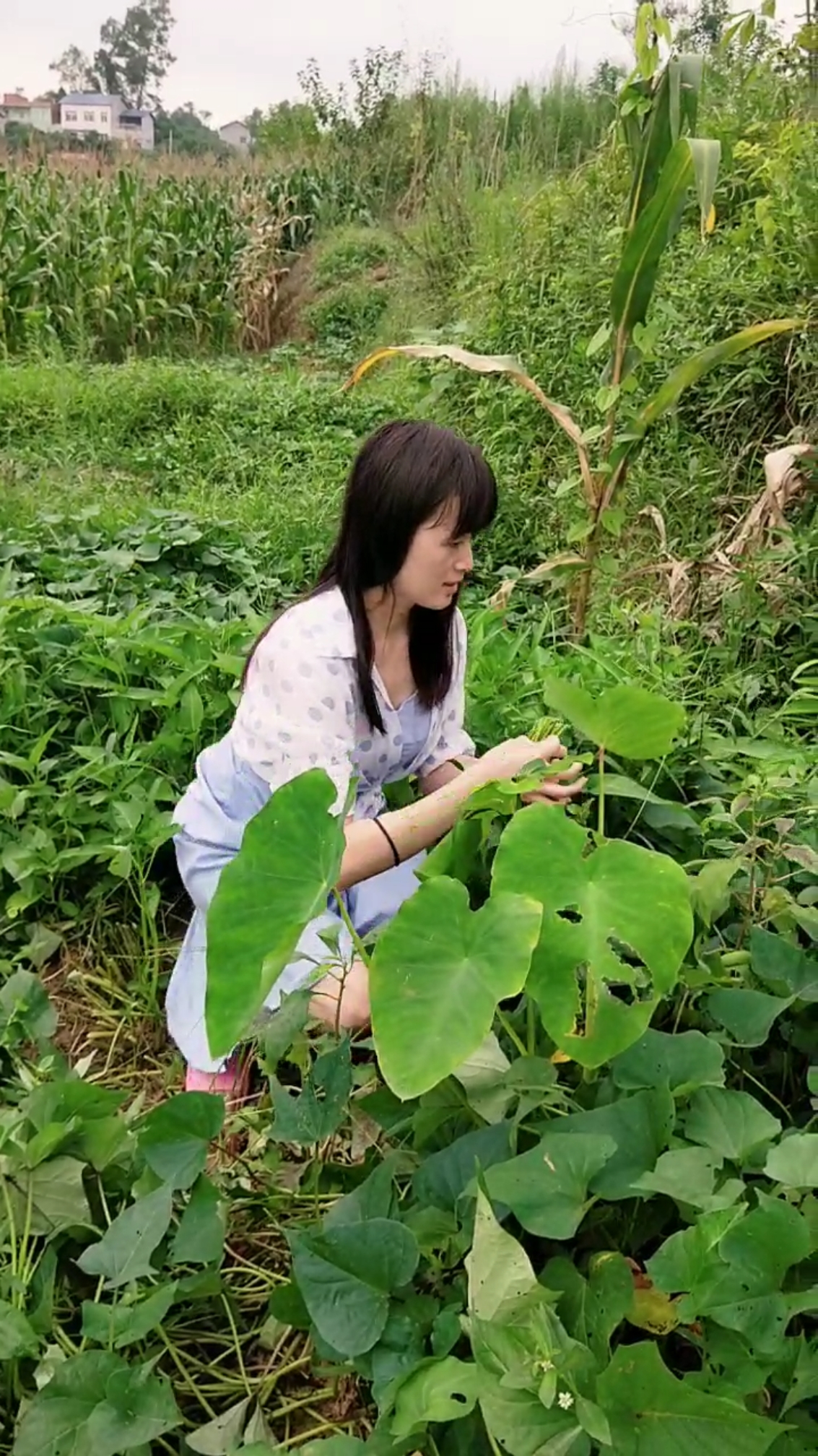 贵州农村妹子图片