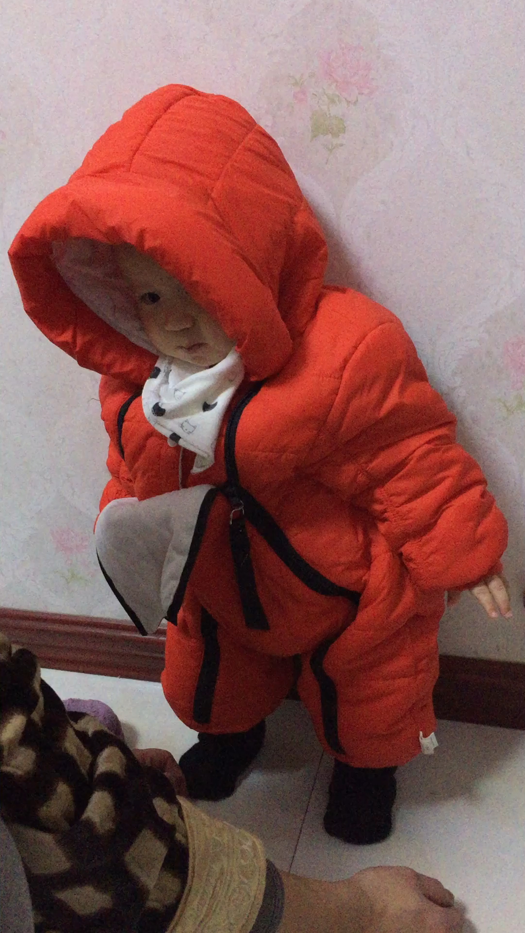 七个月宝宝学站立