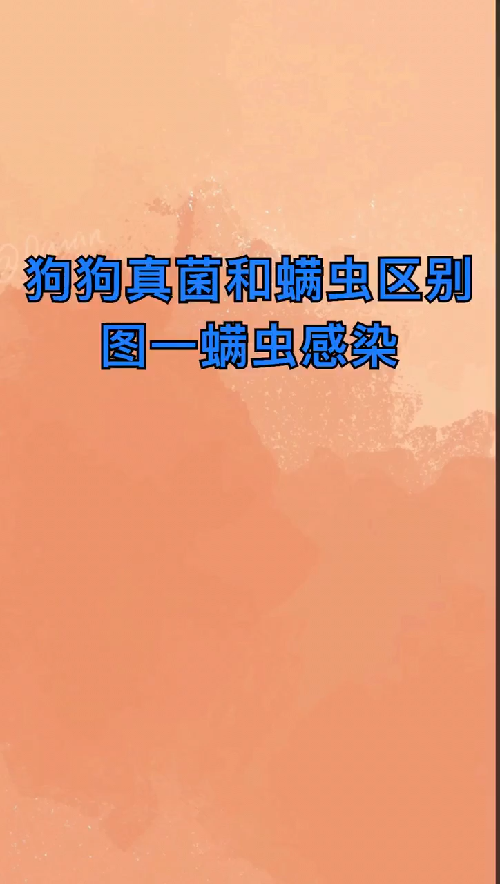 我来告诉你狗狗真菌和螨虫区别图
