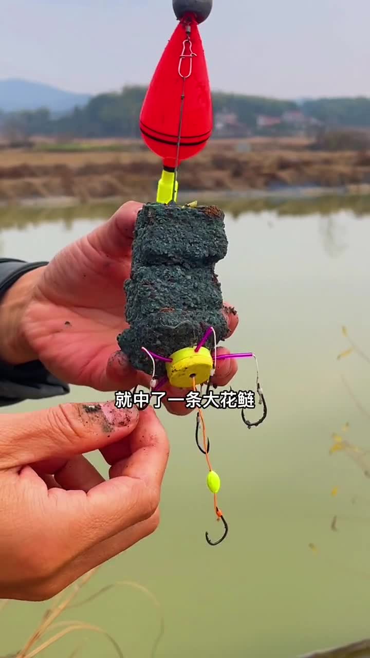 海竿钓鲢鳙的方法与技巧