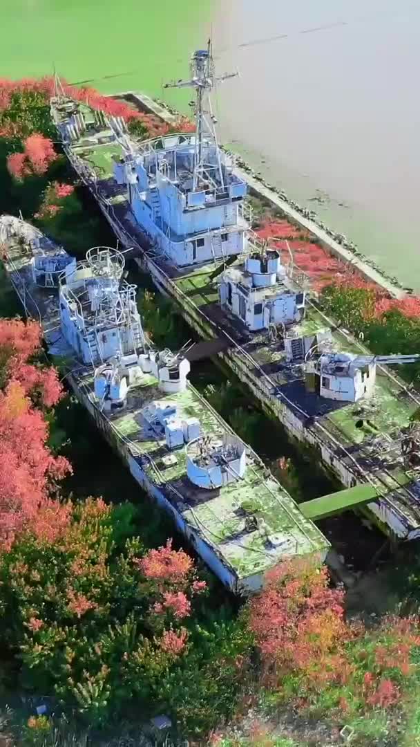 广东汕头停靠在城市岸边的废弃护卫舰,它当初经历了什么,为何出现在