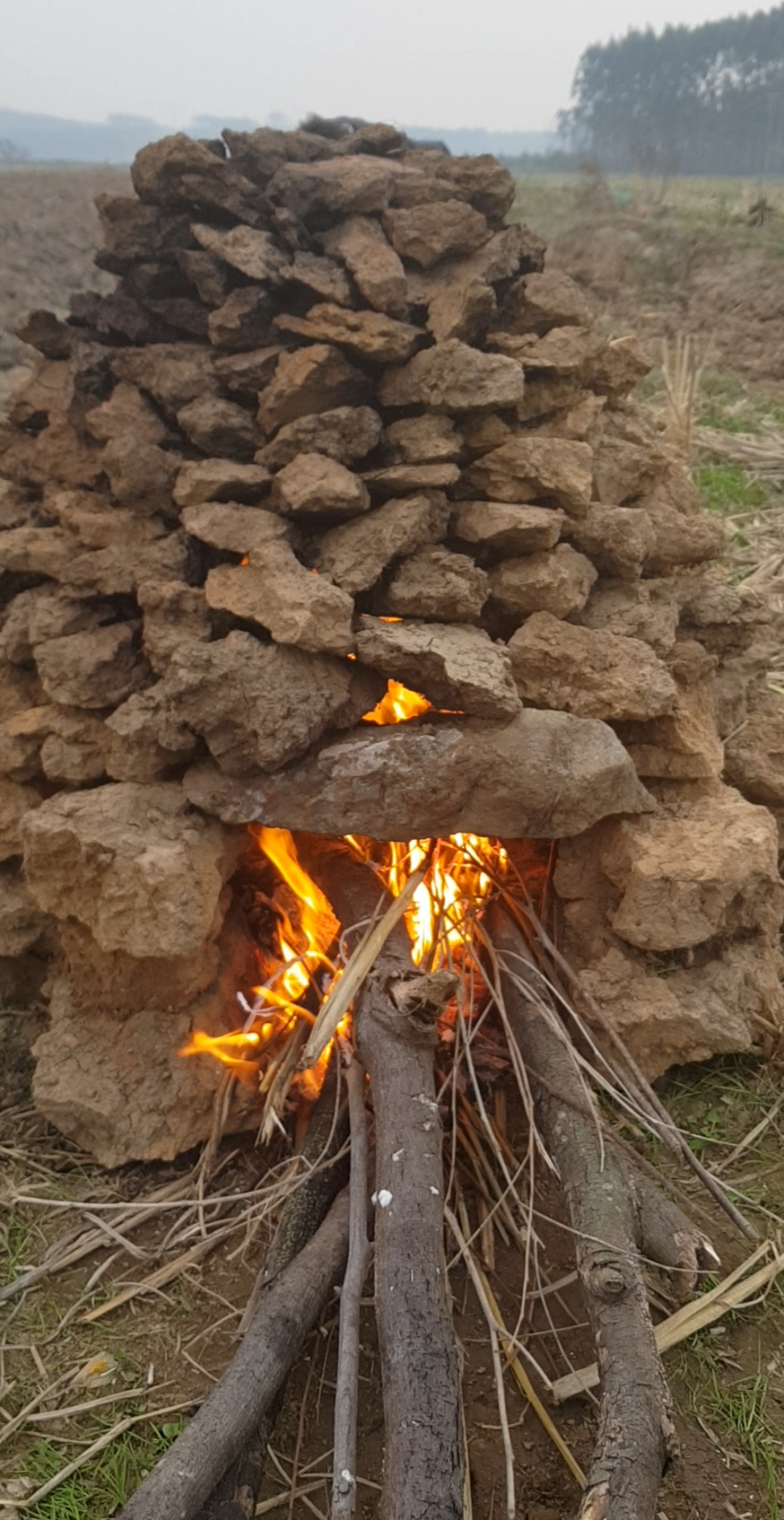 红薯窑#红薯窑,够大,够吃了