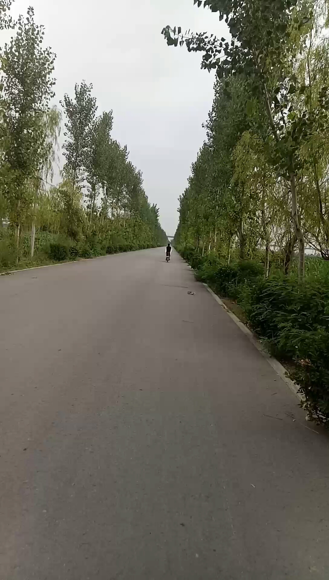 人生就像这条路,不知道何时才能走到尽头.