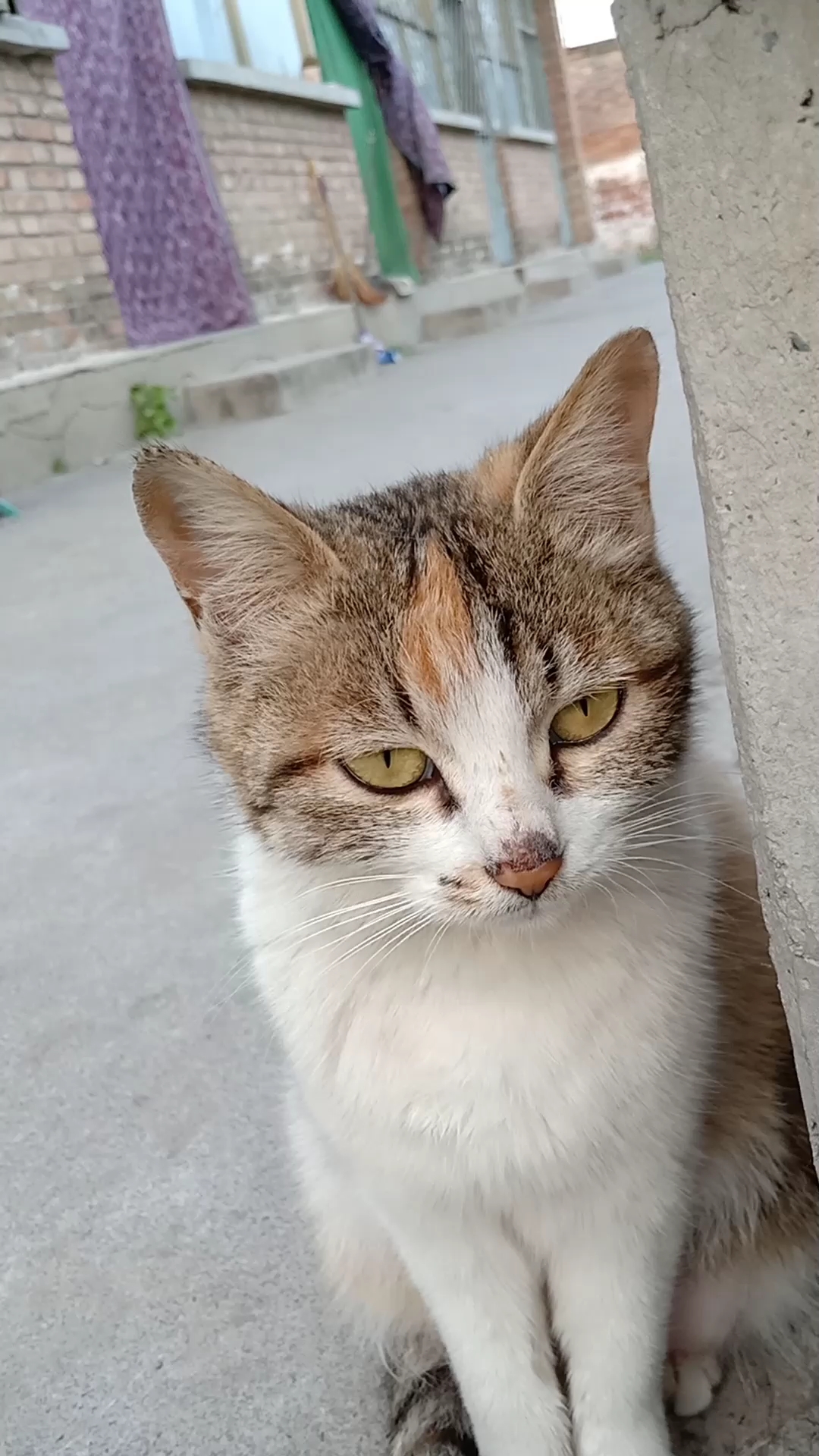 期盼的眼神,盼望着自己的孩子孩子还可以再回来!