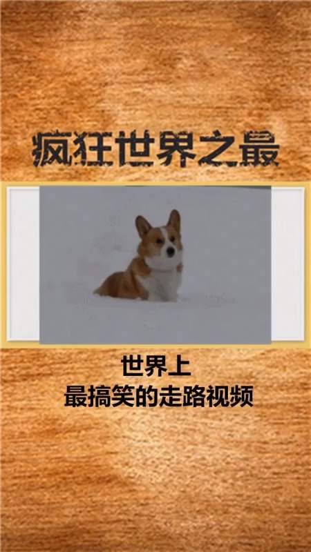 这走姿势比美女还妖艳#世界上最搞笑的走路视频,看完笑疯了!