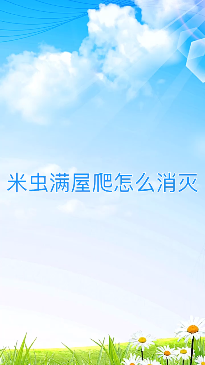 我来告诉你米虫满屋爬怎么消灭