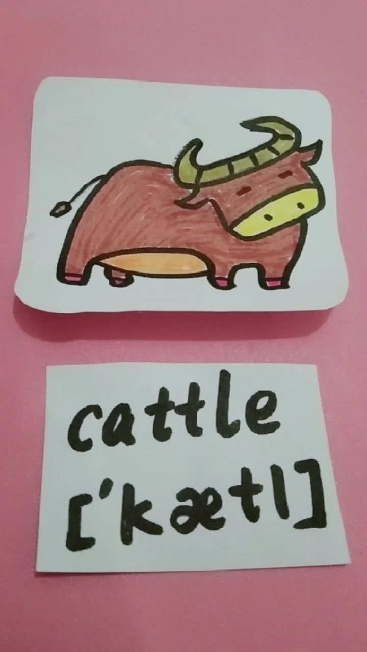 英语单词拼读发音cattle牛简笔画