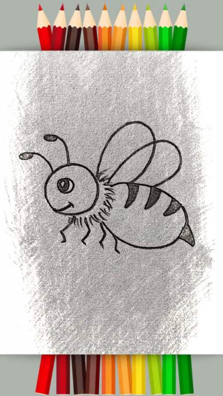 蜜蜂素描图片 简单图片