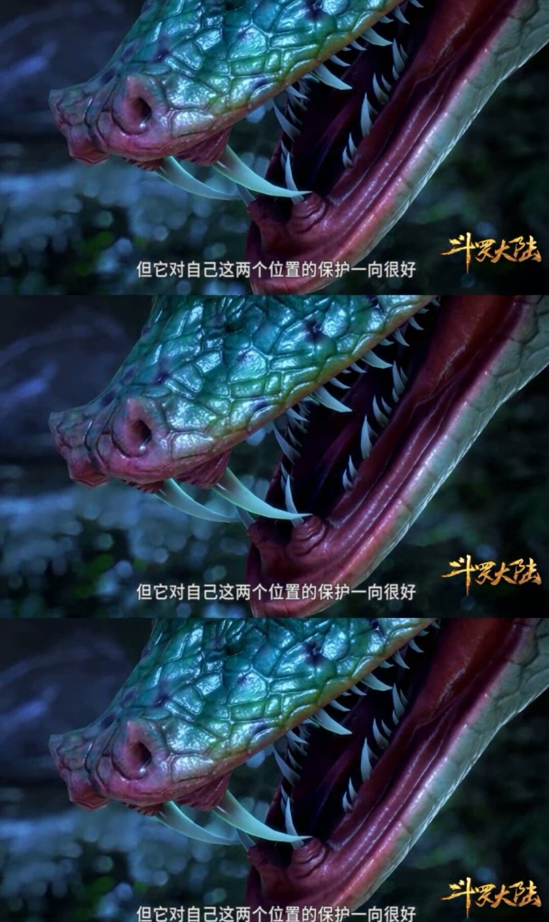 超级毒物曼陀罗蛇骤然来访!