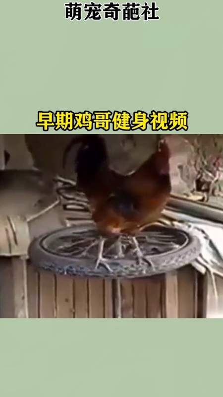 我要上热门#早期鸡哥健身视频