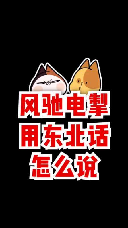风驰电掣用东北话应该怎么说?