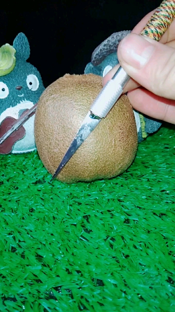 感恩有你#猕猴桃雕刻艺术,就是这么漂亮