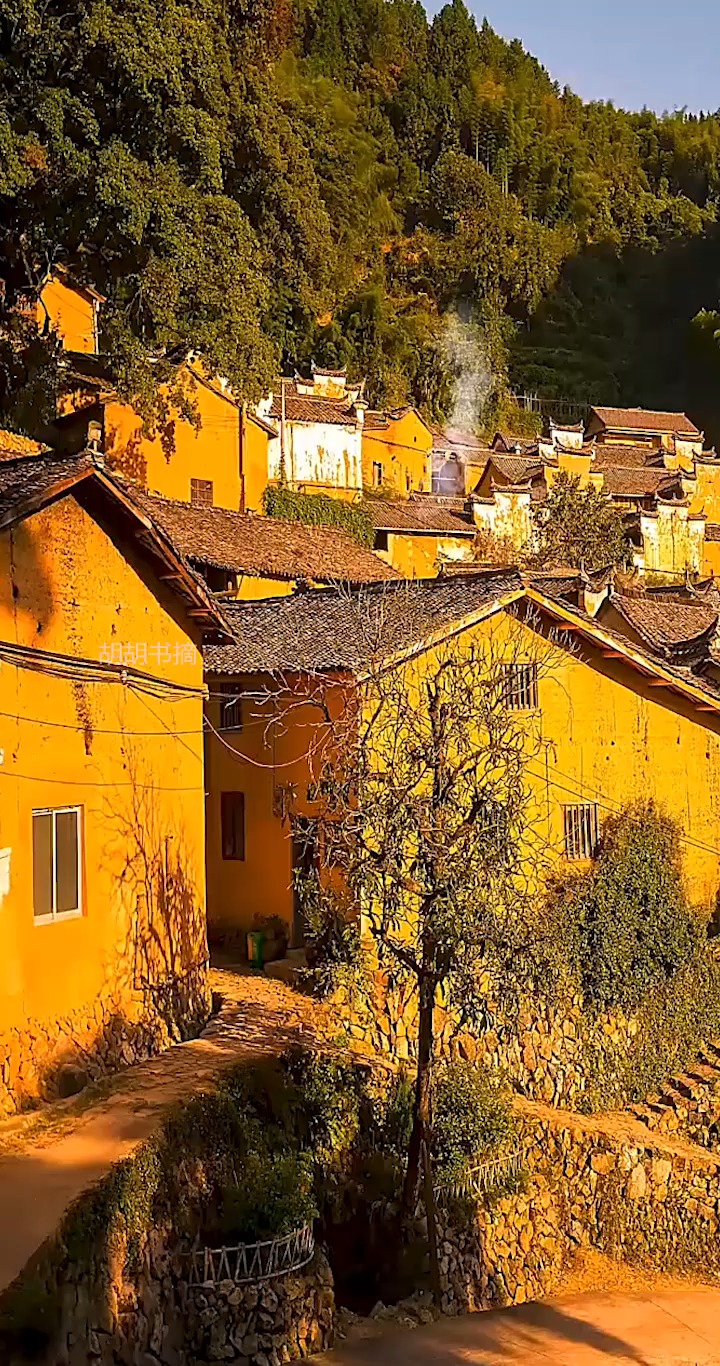 乡村气息,好像生活这里!