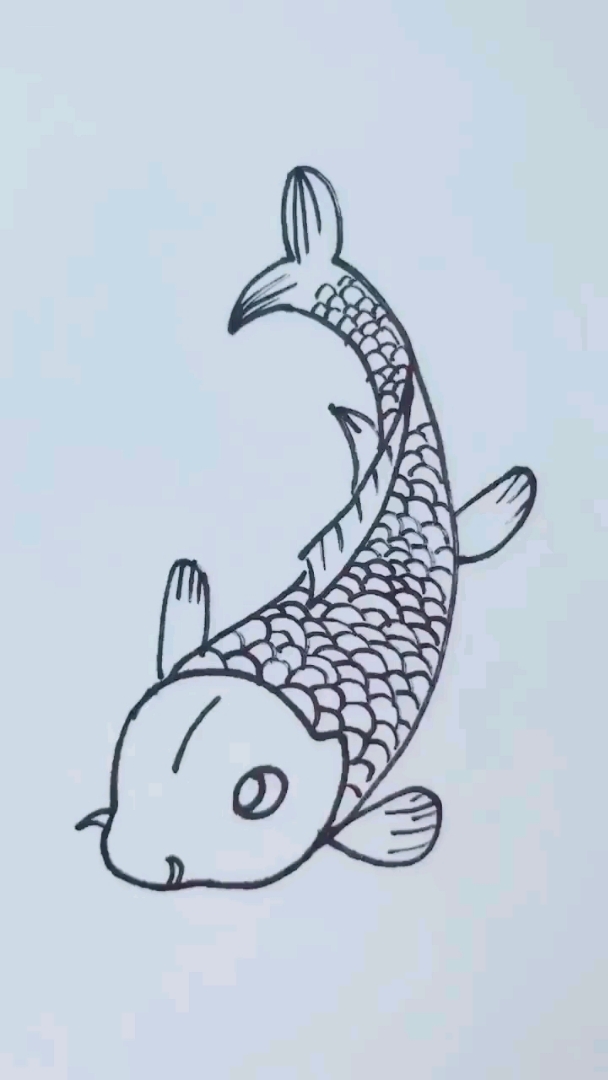 新年鱼简笔画图片