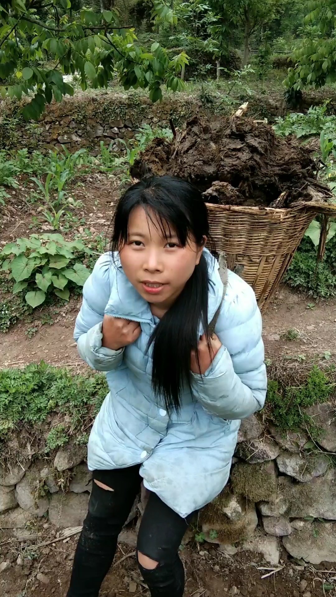 山里姑娘背牛粪种红薯生活不易要加油-度小视