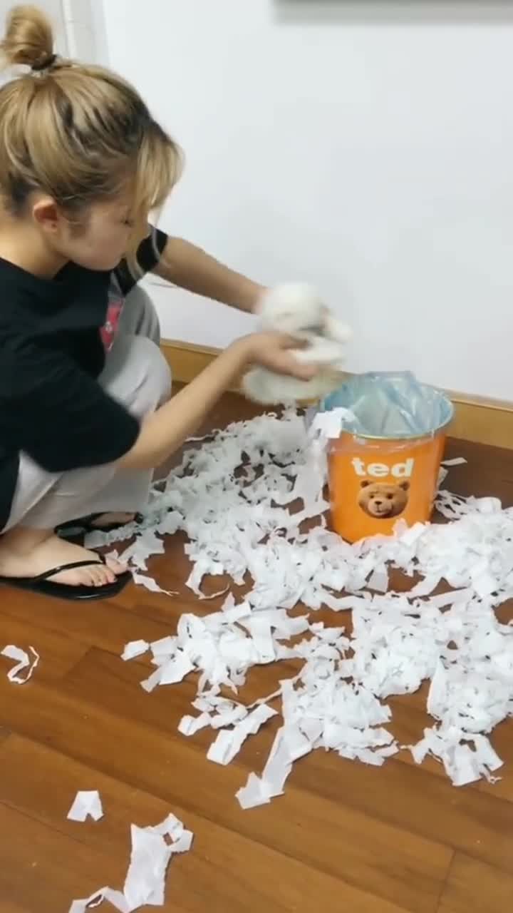 汪星人还是不错的,勇于承担错误,足足浪费了我一卷纸呢!