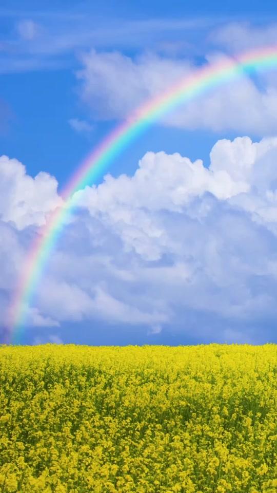 "你真像油菜花""你是夸我积极向上吗"不,我说你又油又菜又花心"#旅行