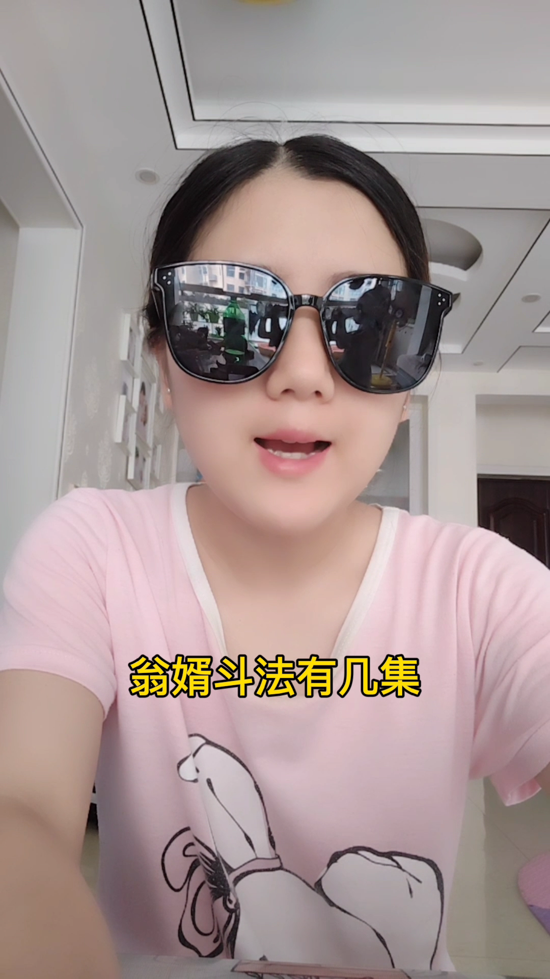 翁婿斗法有几集?