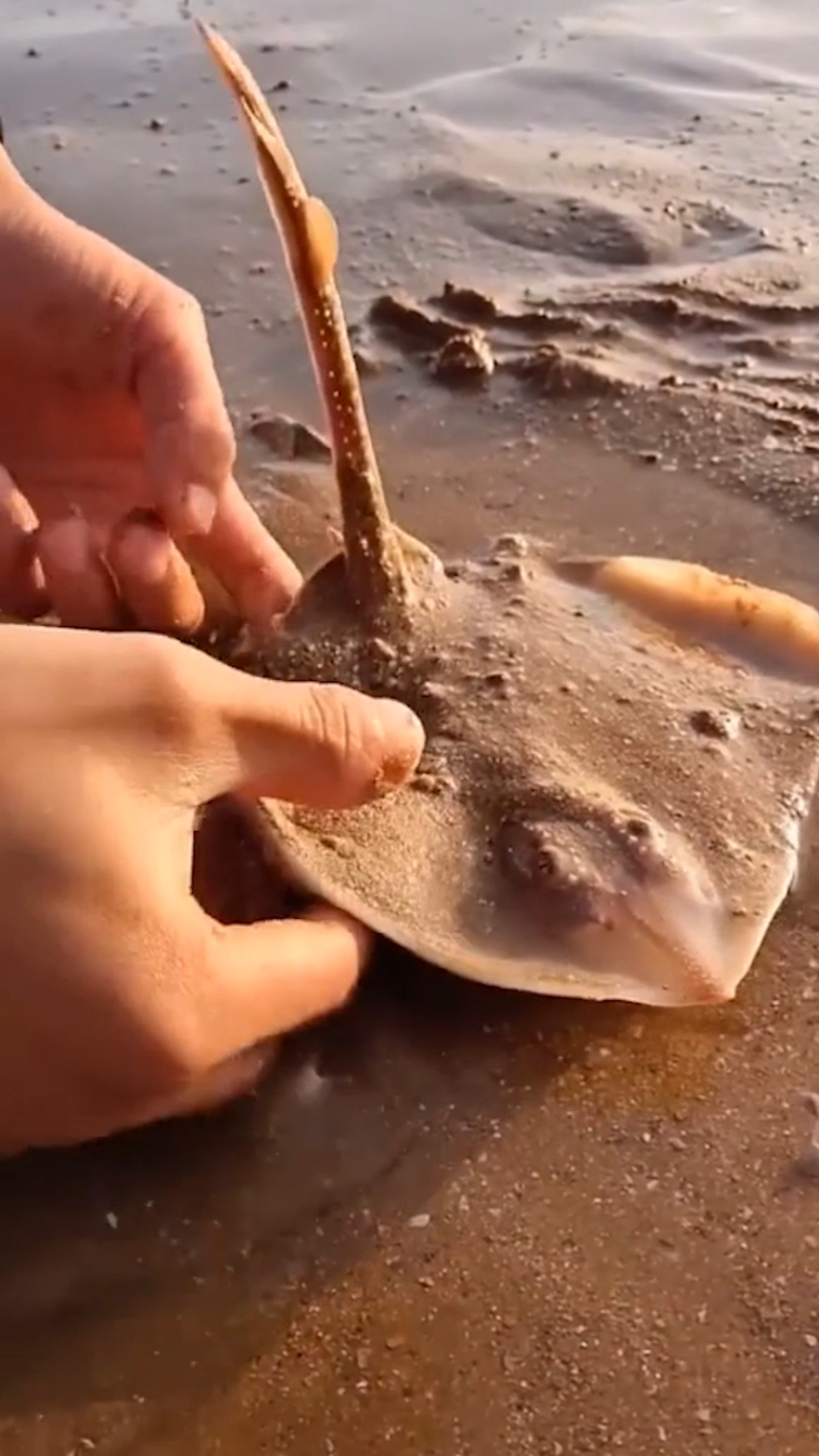 老闆魚:為什麼往我身上潑沙!