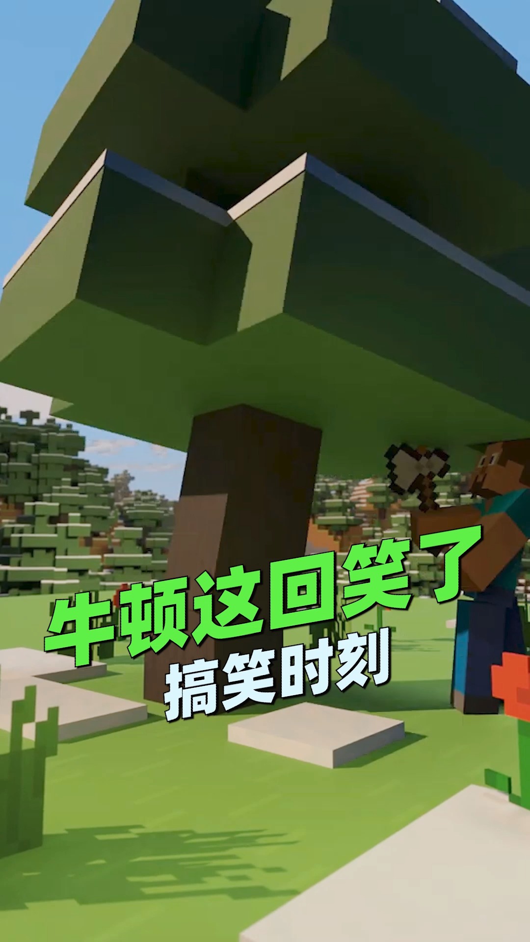 牛顿是不是要笑了!对了你们玩mc多久了!