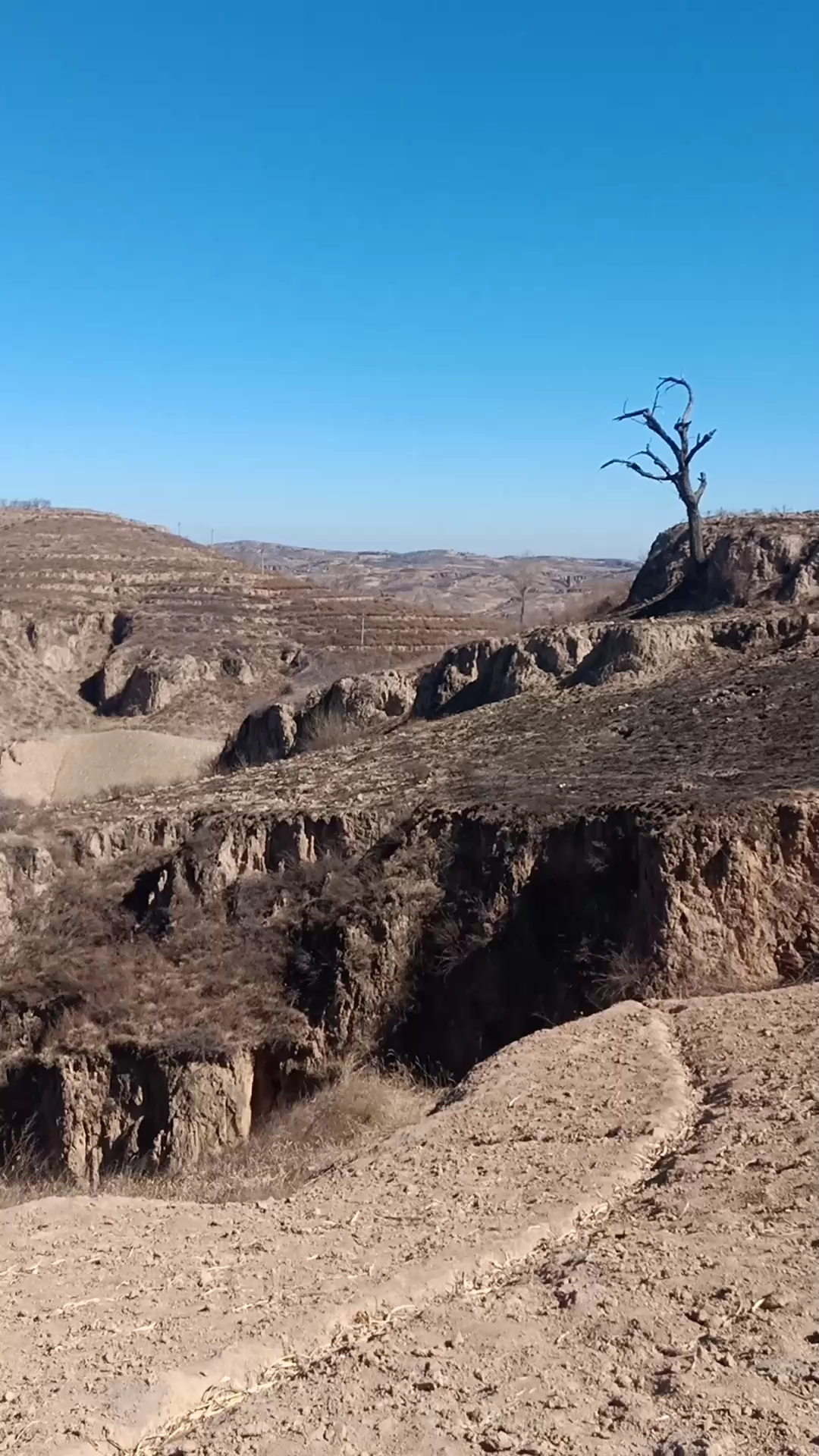 荒凉的陕北大山,冷冷清清