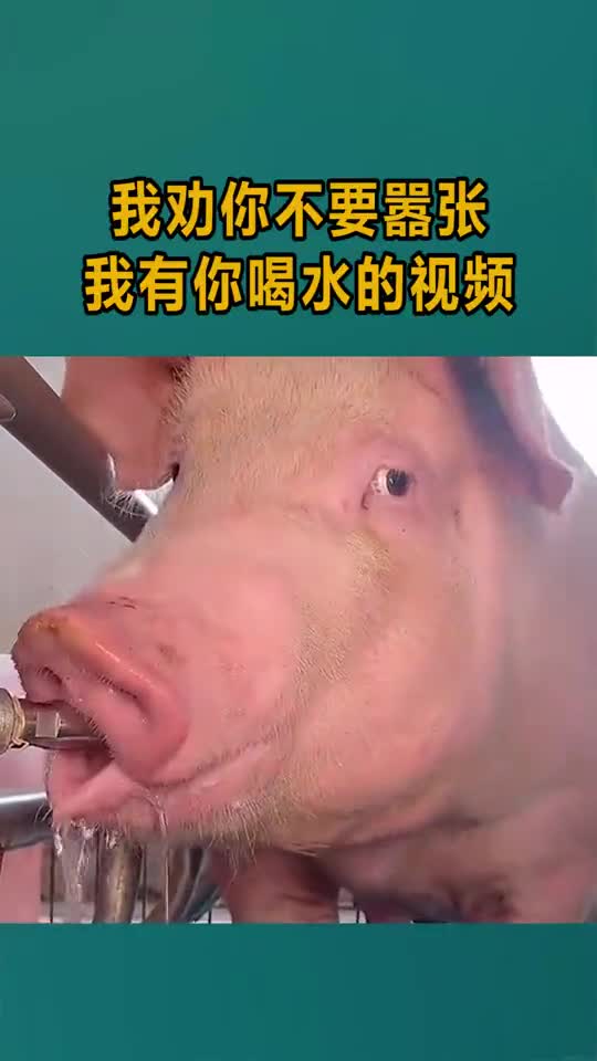 我劝你不要嚣张,我有你喝水的视频