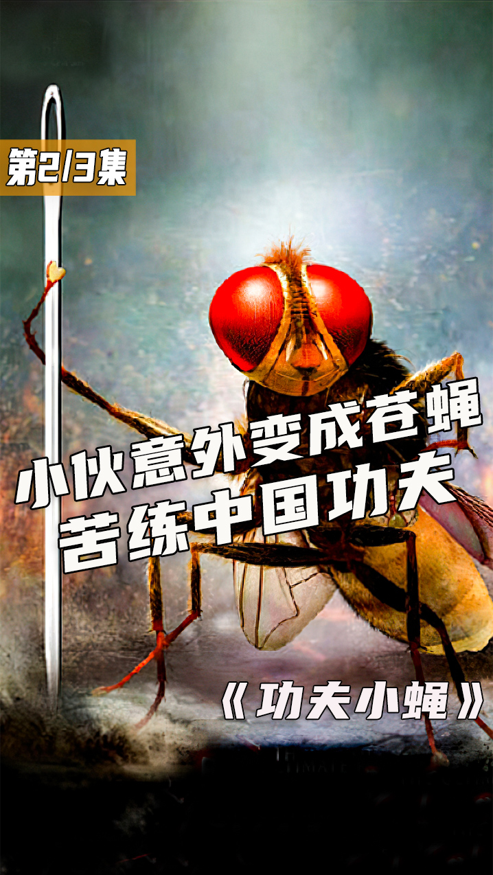太搞笑了!男人意外变成苍蝇,苦练中国功夫,喜剧电影功夫小蝇