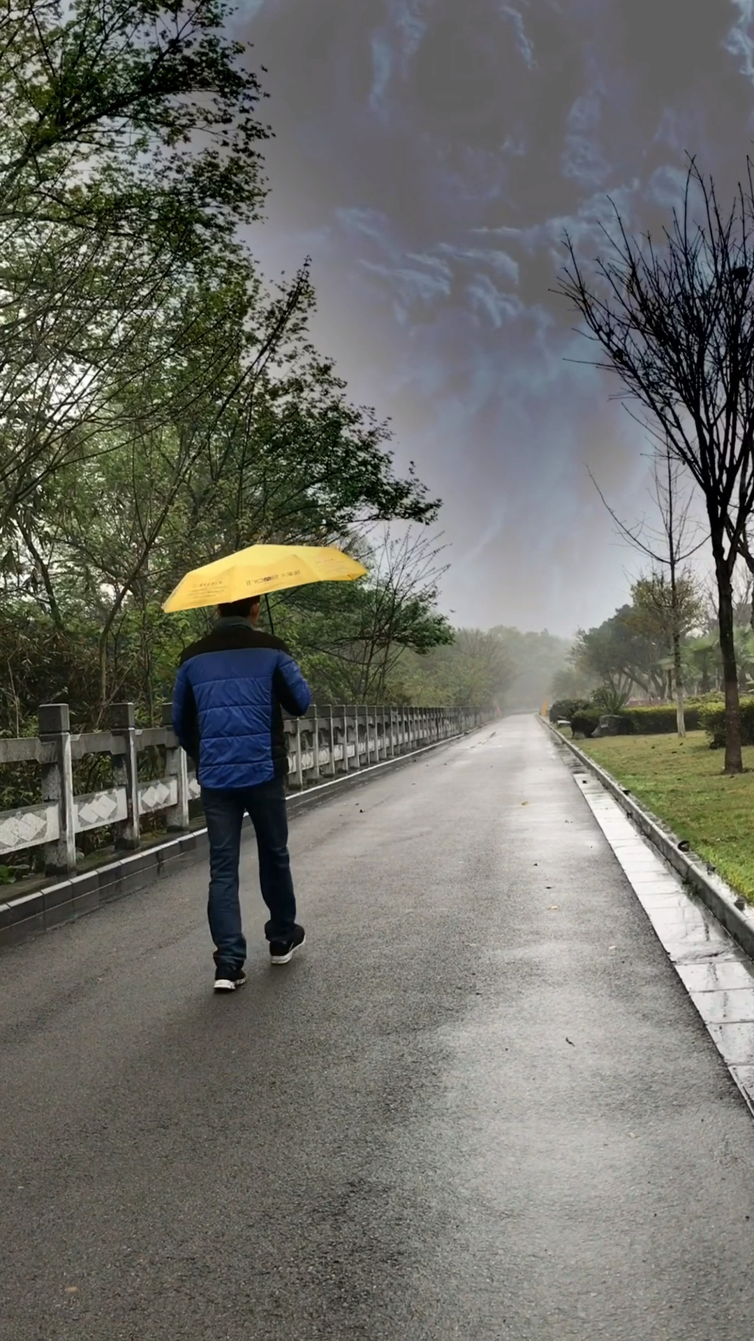 一个人的背影总是那么孤单