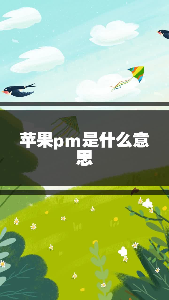 苹果pm是什么意思