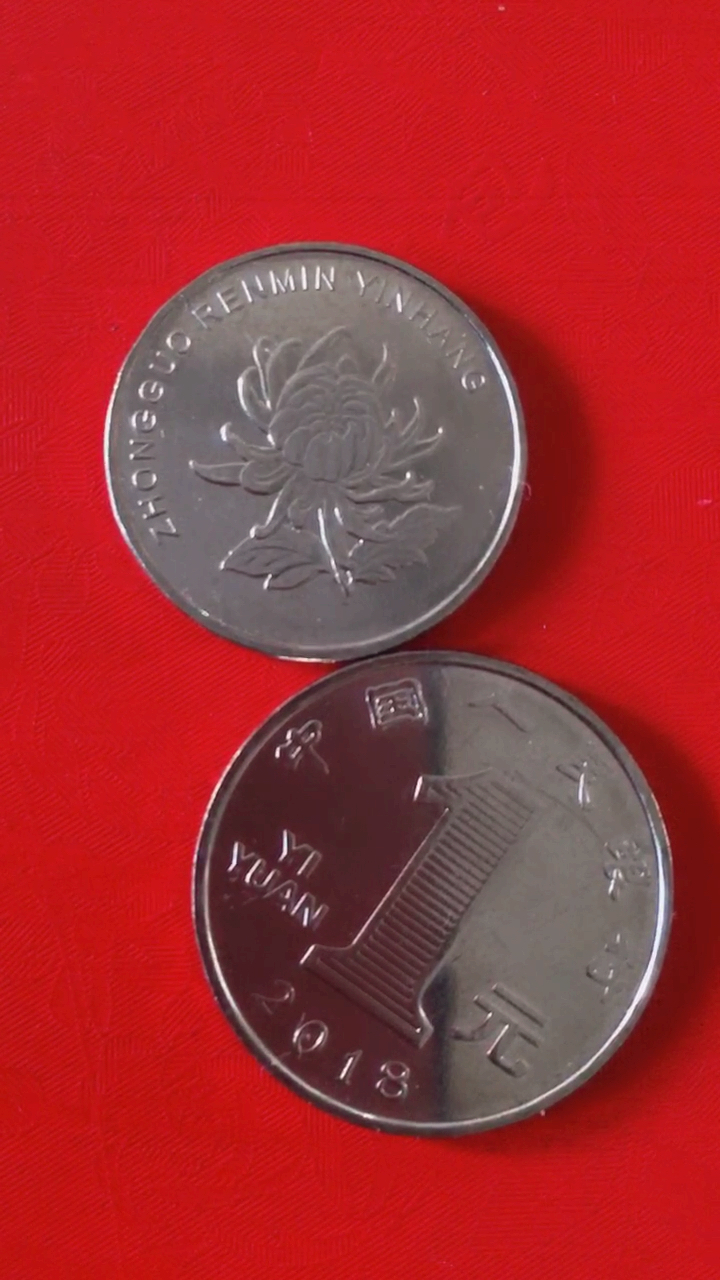 音为有你#菊花一元硬币