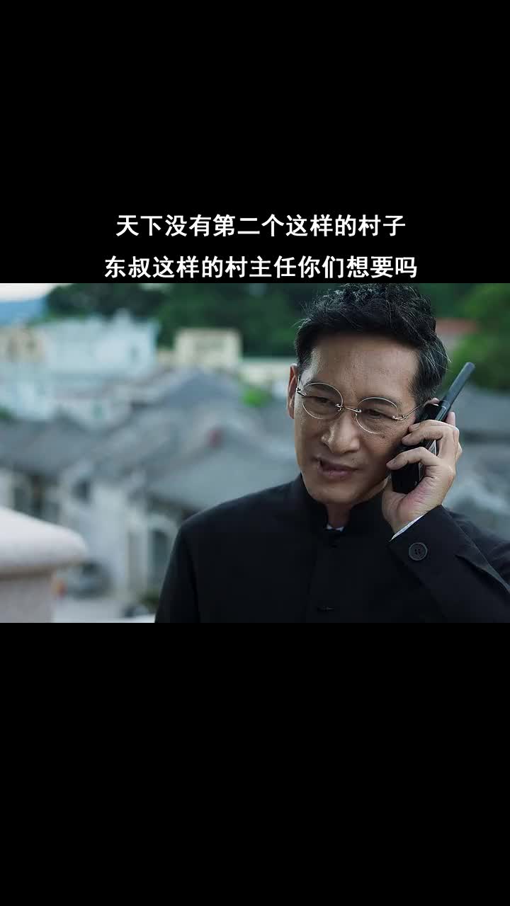 精彩影视#天下没有第二个这样的村子,东叔这样的村主任你们想要吗