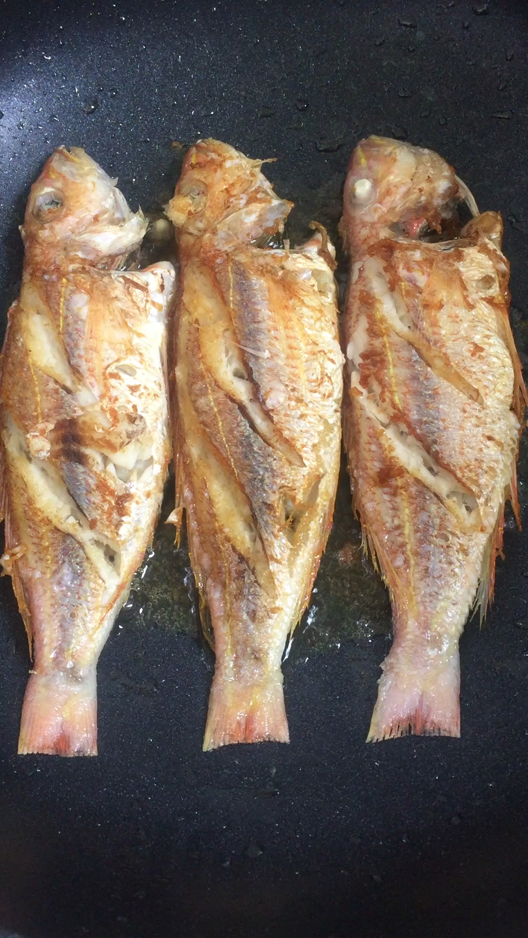 佛系生活#三亚也终于天气凉了,煎点红线鱼,整点小酒