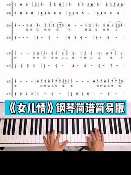 女儿情经典曲目初学版教学g谱主页添加钢琴教学