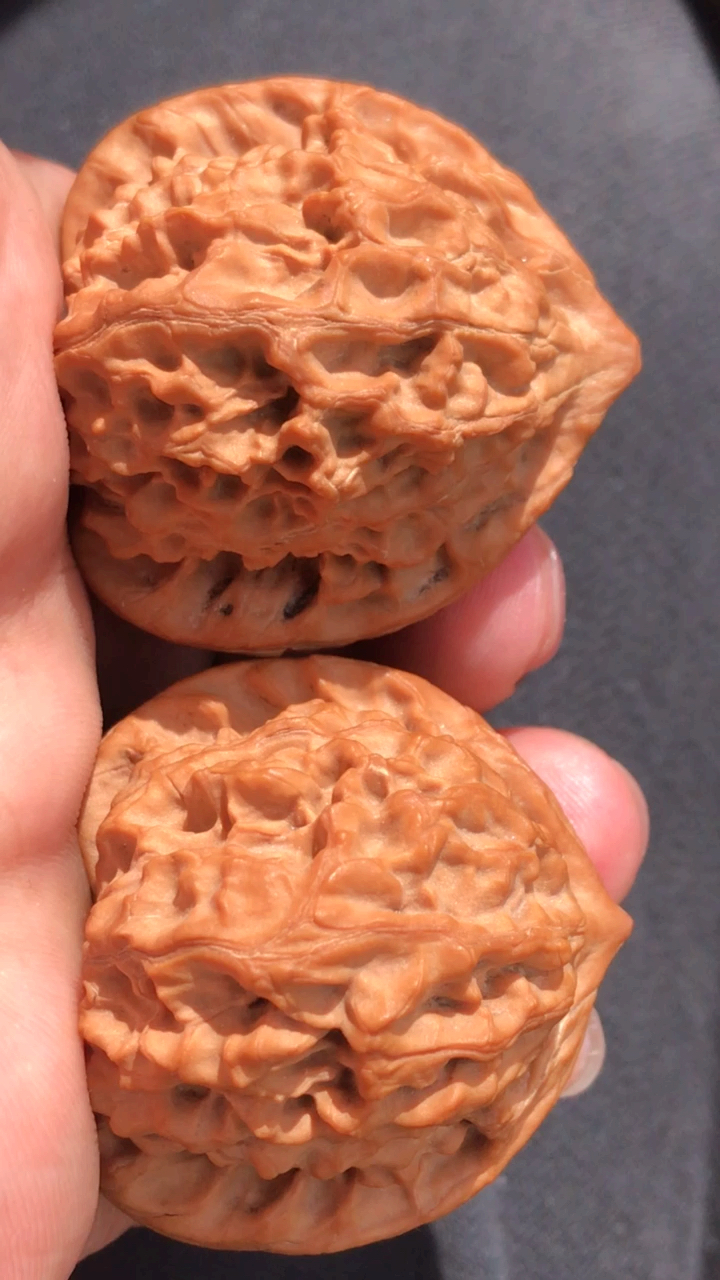 大肚元宝型文玩核桃,桩型纹路漂亮,喜欢吗?