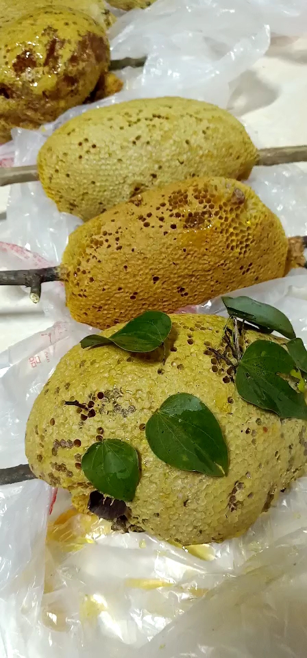 野生树枝小挂蜜