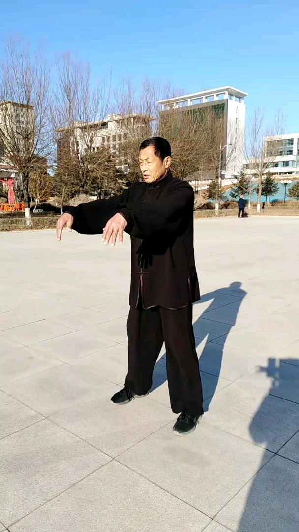 杨氏48式太极拳