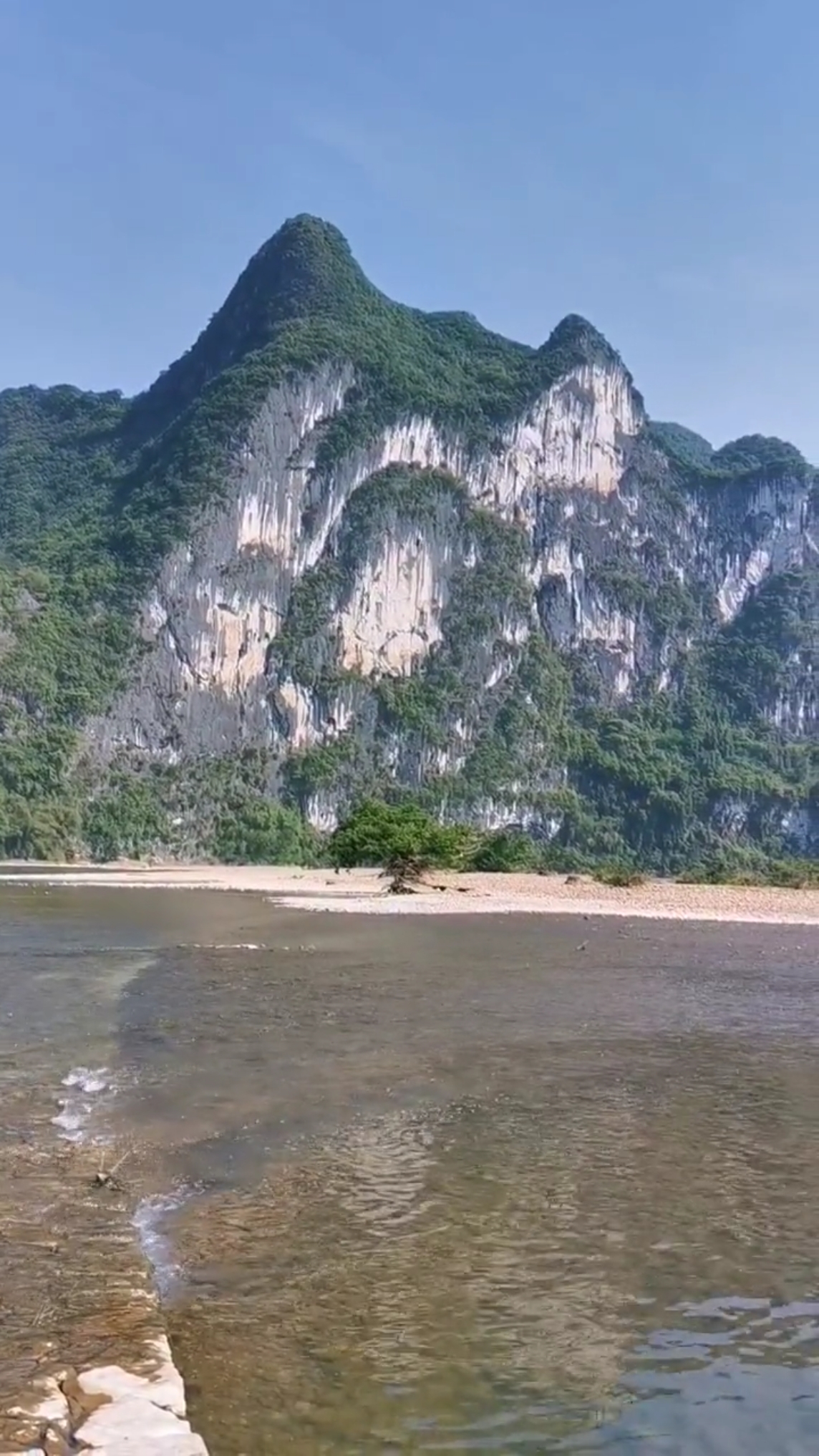 九马画山中的马的姿态图片