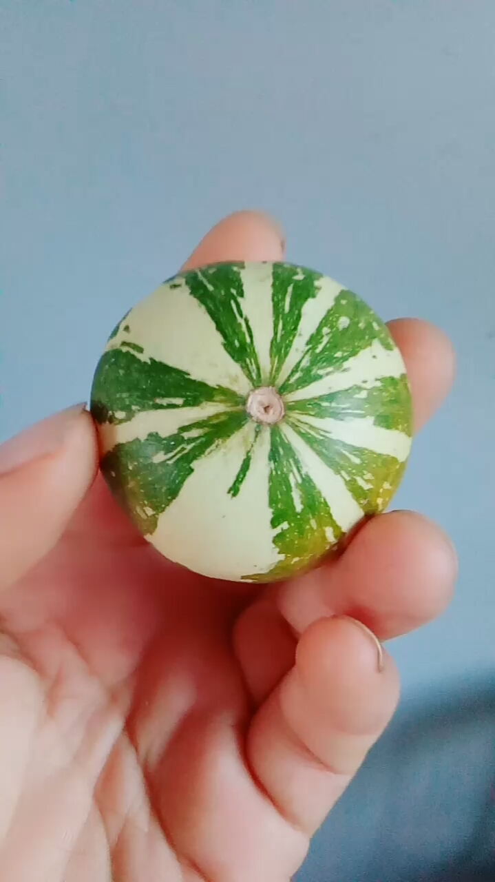 葫芦娃#西瓜葫芦手把件