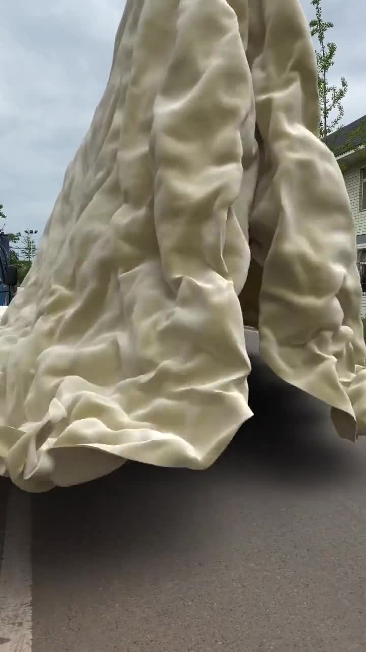 特效龙亿晨本人:给你们看看我家宠物