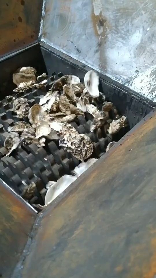 生蚝壳粉碎机#生蚝壳粉碎机,冻肉撕碎机,一机多用途,两年不换刀-缎