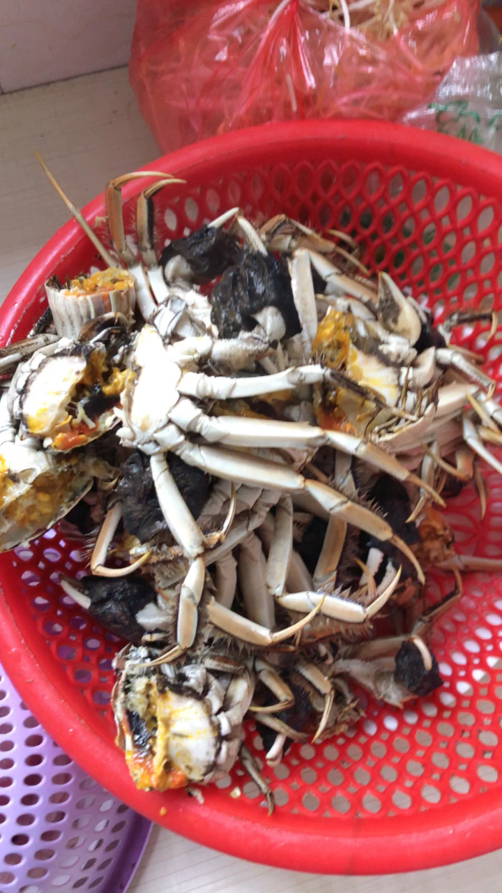 别人家里养的螃蟹,我们叫毛海,难道是因为腿上长毛了